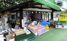 �T���v���C���[�W