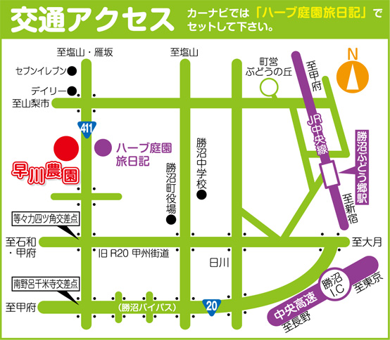 山梨県甲州市勝沼町早川農園